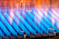 Gedney gas fired boilers